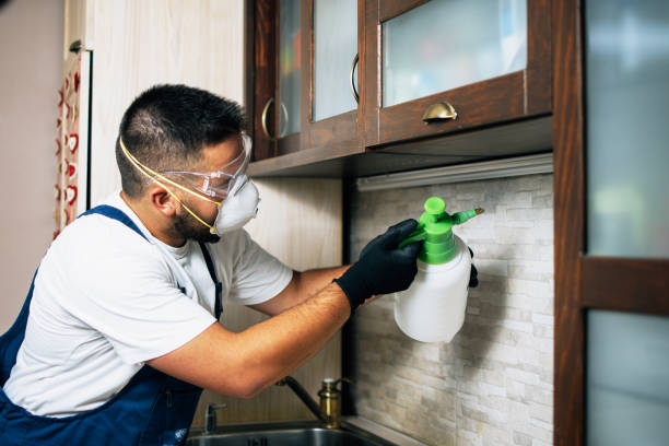 Best Pest Control Cost  in Kingfisher, OK