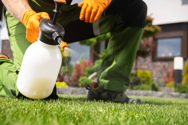 Best Local Pest Control Services  in Kingfisher, OK