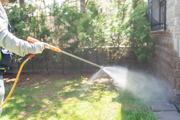 Best Wildlife Control Services  in Kingfisher, OK